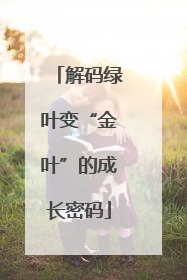 解码绿叶变“金叶”的成长密码