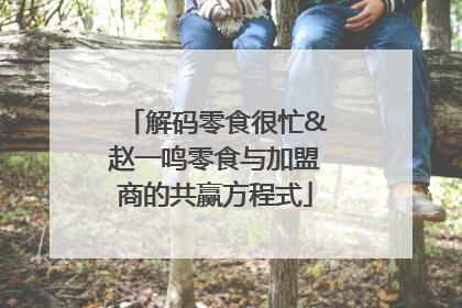 解码零食很忙&赵一鸣零食与加盟商的共赢方程式