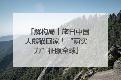 解构局丨旅日中国大熊猫回家！“萌实力”征服全球