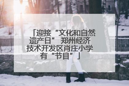 迎接“文化和自然遗产日” 郑州经济技术开发区肖庄小学有“节目”