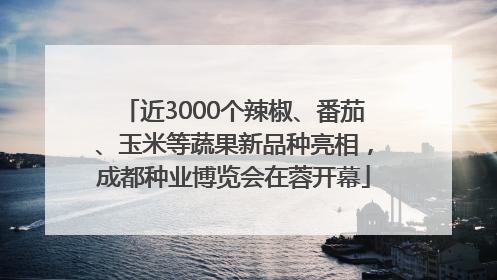 近3000个辣椒、番茄、玉米等蔬果新品种亮相，成都种业博览会在蓉开幕