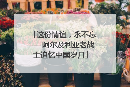 这份情谊，永不忘——阿尔及利亚老战士追忆中国岁月