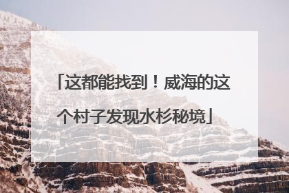 这都能找到！威海的这个村子发现水杉秘境