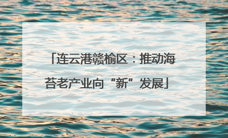 连云港赣榆区：推动海苔老产业向“新”发展