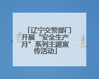 辽宁交警部门开展“安全生产月”系列主题宣传活动
