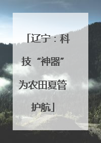 辽宁：科技“神器”为农田夏管护航