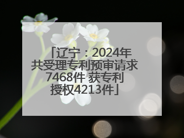 辽宁：2024年共受理专利预审请求7468件 获专利授权4213件