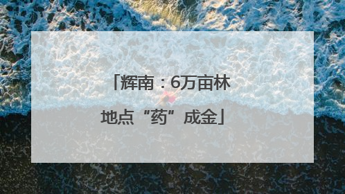 辉南：6万亩林地点“药”成金