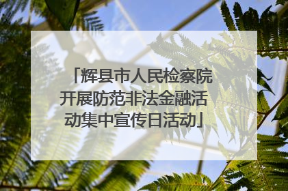 辉县市人民检察院开展防范非法金融活动集中宣传日活动