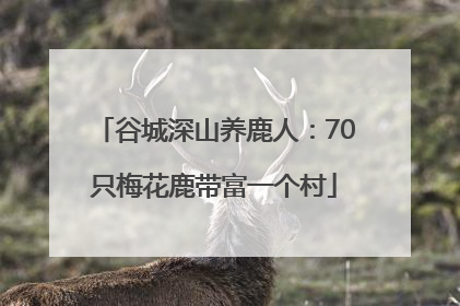 谷城深山养鹿人：70只梅花鹿带富一个村