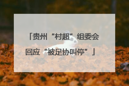 贵州“村超”组委会回应“被足协叫停”