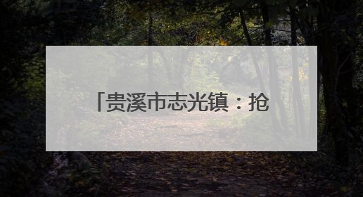 贵溪市志光镇：抢抓农时促丰收，科技赋能保粮安（图）