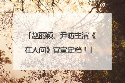 赵丽颖、尹昉主演《在人间》官宣定档！