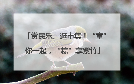 赏民乐、逛市集！“童”你一起，“粽”享紫竹
