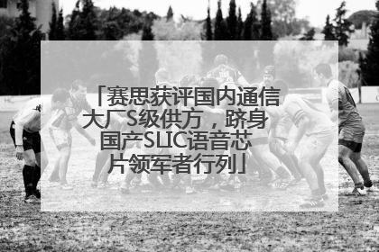 赛思获评国内通信大厂S级供方，跻身国产SLIC语音芯片领军者行列