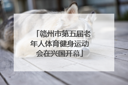 赣州市第五届老年人体育健身运动会在兴国开幕