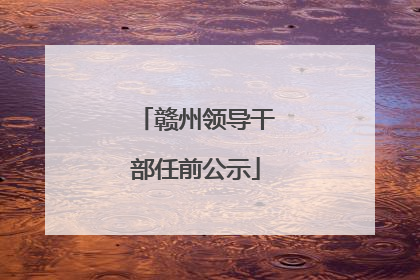 赣州领导干部任前公示