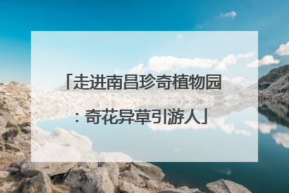 走进南昌珍奇植物园：奇花异草引游人