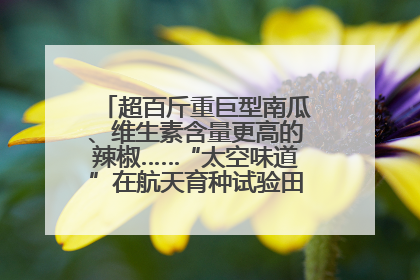 超百斤重巨型南瓜、维生素含量更高的辣椒……“太空味道”在航天育种试验田里拔节生长