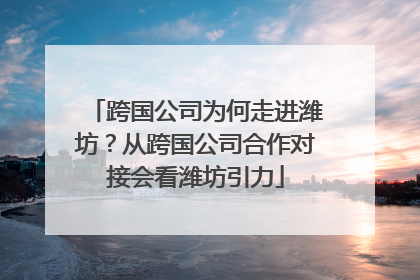 跨国公司为何走进潍坊？从跨国公司合作对接会看潍坊引力