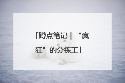 蹲点笔记｜“疯狂”的分拣工