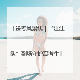 送考风景线｜“汪汪队”到场守护高考生