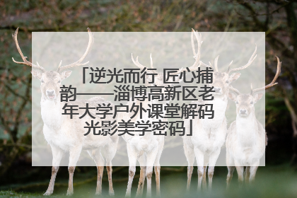 逆光而行 匠心捕韵——淄博高新区老年大学户外课堂解码光影美学密码