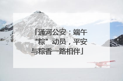 通河公安：端午“粽”动员，平安与粽香一路相伴
