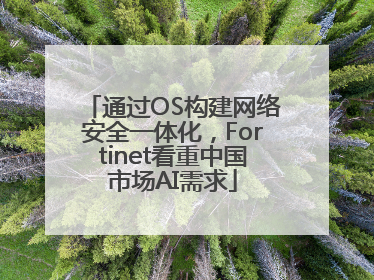 通过OS构建网络安全一体化，Fortinet看重中国市场AI需求