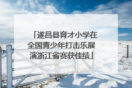 遂昌县育才小学在全国青少年打击乐展演浙江省赛获佳绩