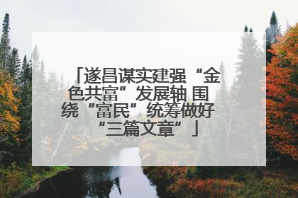 遂昌谋实建强“金色共富”发展轴 围绕“富民”统筹做好“三篇文章”