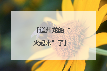 道州龙船“火起来”了