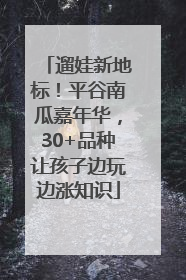 遛娃新地标！平谷南瓜嘉年华，30+品种让孩子边玩边涨知识
