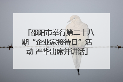 邵阳市举行第二十八期“企业家接待日”活动 严华出席并讲话