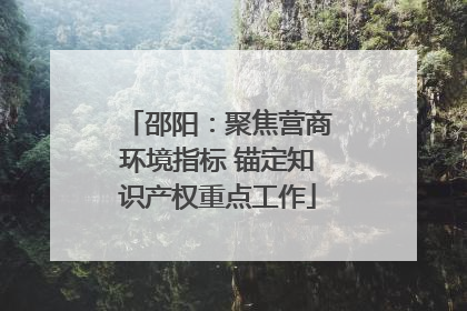 邵阳：聚焦营商环境指标 锚定知识产权重点工作