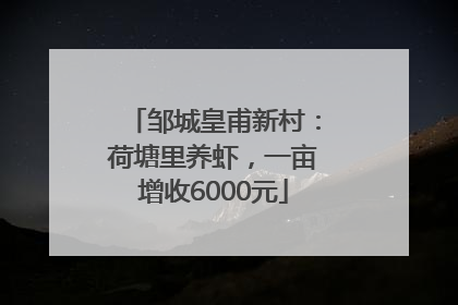 邹城皇甫新村：荷塘里养虾，一亩增收6000元