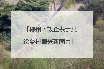 郴州：政企携手共绘乡村振兴新图景