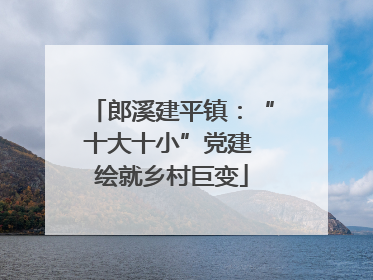 郎溪建平镇：“十大十小”党建 绘就乡村巨变