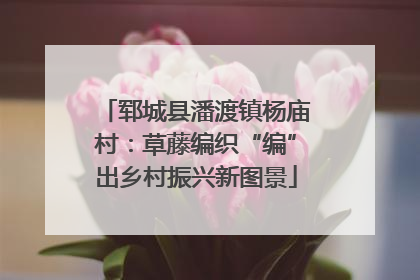 郓城县潘渡镇杨庙村：草藤编织“编”出乡村振兴新图景