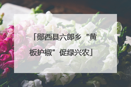 郧西县六郎乡“黄板护椒”促绿兴农