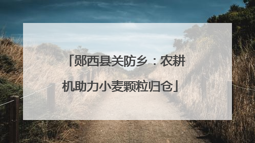郧西县关防乡：农耕机助力小麦颗粒归仓