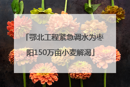 鄂北工程紧急调水为枣阳150万亩小麦解渴