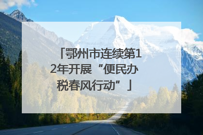 鄂州市连续第12年开展“便民办税春风行动”