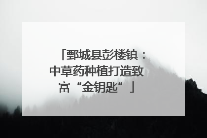 鄄城县彭楼镇：中草药种植打造致富“金钥匙”