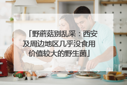 野蘑菇别乱采：西安及周边地区几乎没食用价值较大的野生菌
