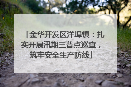 金华开发区洋埠镇：扎实开展汛期三普点巡查，筑牢安全生产防线