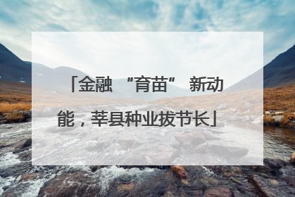 金融 “育苗” 新动能，莘县种业拔节长