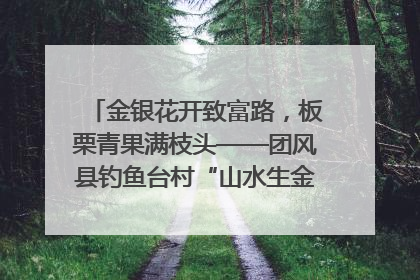 金银花开致富路，板栗青果满枝头——团风县钓鱼台村“山水生金”谱写共富新篇章