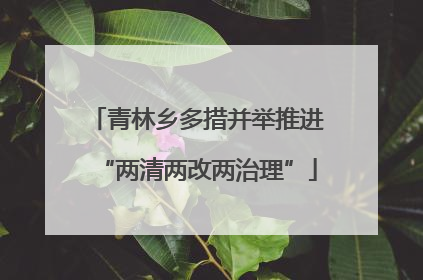 青林乡多措并举推进“两清两改两治理”