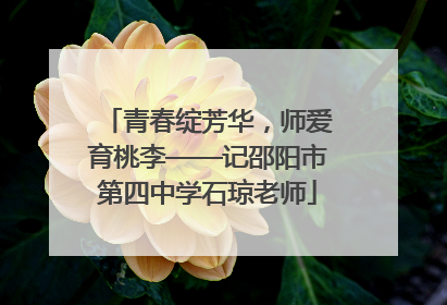 青春绽芳华，师爱育桃李——记邵阳市第四中学石琼老师